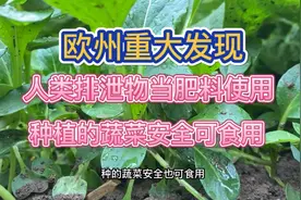 欧洲宣布了重大发现，人类排泄物可以作肥料，种植蔬菜安全可食用