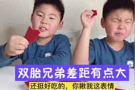 双胎兄弟为啥差距会恁大呐？性格不一样，喜好也不一样视频封面