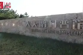 保护生态环境，从小做起图片