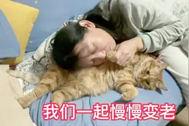 妈妈变成吸猫狂人，小肥猫实在是太可爱啦，我们要一起慢慢变老！