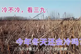 二九不冷反暖，啥预兆？今年冬天还会冷吗？看三九早知道