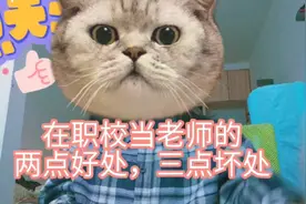 在职业院校当老师有啥好处呢？看完你还愿意去职校当老师吗？视频封面