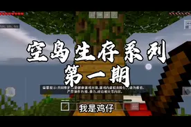 我的世界空岛生存：01 制作刷石机！视频封面