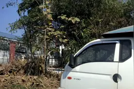 干货！老挝国立大学的女学生视频封面