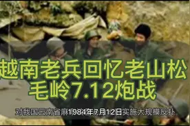 越南老兵回忆老山松毛岭7.12炮战经历视频封面