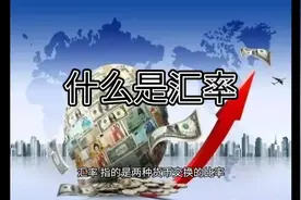 什么是汇率?(每天一个金融小知识)视频封面