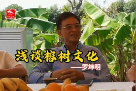 说榕树不容人，为何有这么多人喜爱榕树？视频封面