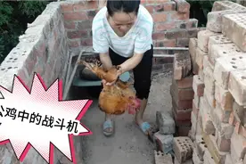 这鸡G了脖子竟然还生龙活虎的，到底是怎么回事呢！视频封面