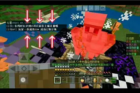 我的世界租赁服:村落玩法，来为我们的村落占领领地吧