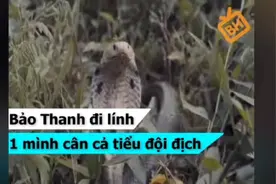 越南女兵在野战树林碰到眼镜蛇,射杀眼镜蛇引来敌人的追击！视频封面