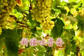 第一视角看新疆，俯瞰美丽富饶吐鲁番市，爱我中国支持新疆视频封面