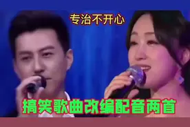搞笑歌曲改编配音，靳东杨钰莹精彩演绎，幽默风趣，搞笑不断！