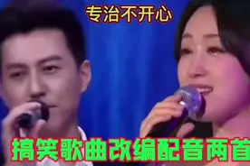 搞笑歌曲改编配音，靳东杨钰莹精彩演绎，幽默风趣，搞笑不断！