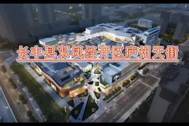长丰县双凤经开区庐州天街项目最新进展视频封面