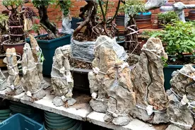 山上没有人要的废石头，我是用这样的开槽工具加工的，成品很漂亮视频封面