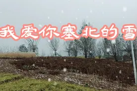 又是一个下雪天，一首《我爱你塞北的雪》送给大家视频封面