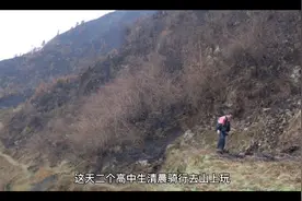 刺猬少女1视频封面