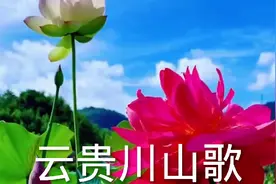 云贵川山歌，男女合唱，妹是哥的好老婆，太好听了视频封面