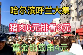 去哈尔滨呼兰赶大集，猪肉6元一斤，排骨9元，黄金钩豆角4元一斤视频封面