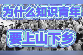 1969年为什么知识青年要上山下乡？化解了什么危机？