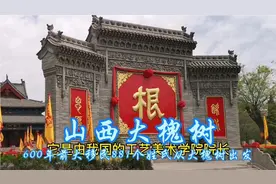 600年前大移民，有你祖先吗？881个姓氏从大槐树出发迁往18个省。