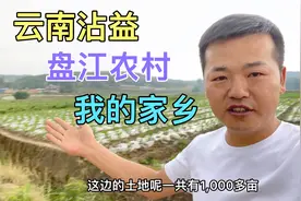云南农村，为何很多年轻人不愿意种地，反而喜欢外出打工？咋回事视频封面
