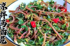 凉拌马齿苋原来有这种功效，有白头发的朋友赶紧收藏起来试试吧