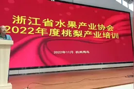 桃梨产业培训，理论及现场实操视频封面