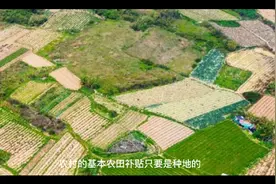 国家对农田补贴政策以及标准解读视频封面