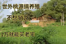 一万买的老宅搞养殖，不愁销路，一年下来能挣7万，看看养着啥视频封面