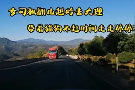 女司机翻山越岭自驾去大理，带着猫狗不赶时间 ，走走停停很自由视频封面