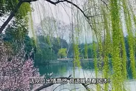口出良言，暖人心田。如沐春风，神清气闲！视频封面