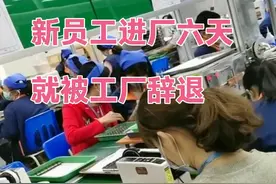 新员工刚进厂六天，就和车间主管产生矛盾，最后双双被工厂辞退视频封面