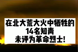 在北大荒大火中牺牲的14名知青，未评为革命烈士。视频封面