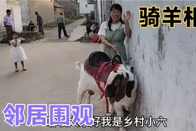 美女骑羊满庄逛，种羊一次次的狂奔还斗智斗勇，这羊真的比人都精视频封面