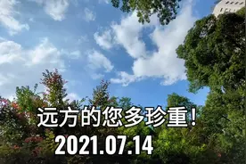 远方的您多珍重！视频封面