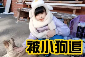 涵涵被邻居家小狗追得哇哇大叫，想和小狗玩又害怕，天冷都不回家