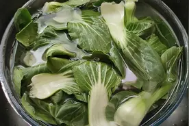 青菜用盐和面粉洗，等于吃农药，教你一招，虫卵农药残留全跑光。