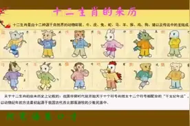 十二生肖的来历视频封面