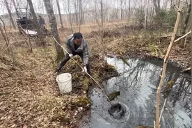 收集林蛙卵提高成活率，每个养蛙人春天必须做的工作！视频封面