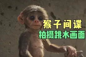 猴子把小猴子推下水池，幸好小猴子会游泳，猴子间谍拍下了这一幕视频封面
