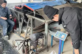 东北边境农村，拿着自己家8斤6两粘玉米粒，上市区蹦爆米花！视频封面