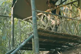美女荒野求生视频封面