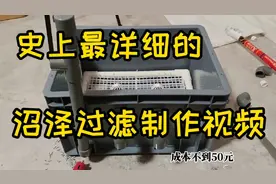自制沼泽过滤详细教程视频封面