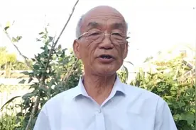 秋季种香菜选择最佳时间能种两茬