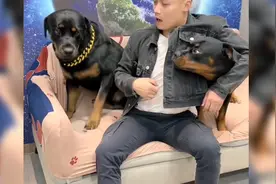 狗狗一坨想好好稀罕一下媳妇，被大哥大嫂强制分开，这心里难受了视频封面