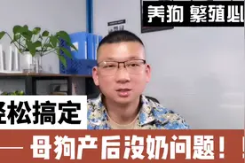 母狗生完小狗没奶怎么办？狗狗没奶吃什么？一味补充营养是不行的视频封面
