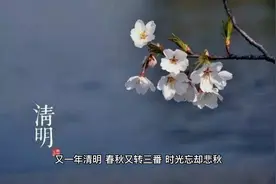 亡妻三周年祭文视频封面