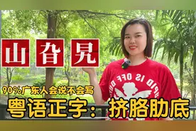 广东广西人请回答：山旮旯、挤胳肋底、曱甴什么意思