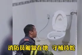 惊吓，男子如厕屁股被戳，原来是蛇，消防员蹲点马桶将蟒蛇捉住视频封面